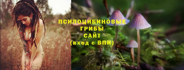 каннабис Алексеевка