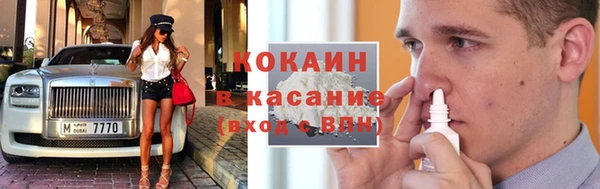мет Алексин