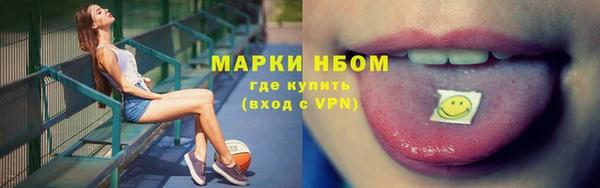 мет Алексин