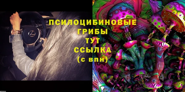 мет Алексин