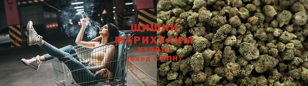 стаф Абаза