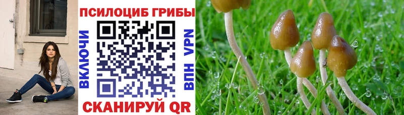Псилоцибиновые грибы ЛСД  где купить наркоту  Нестеров 